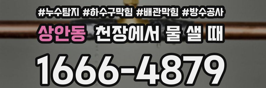 상안동 천장에서 물 샐 때