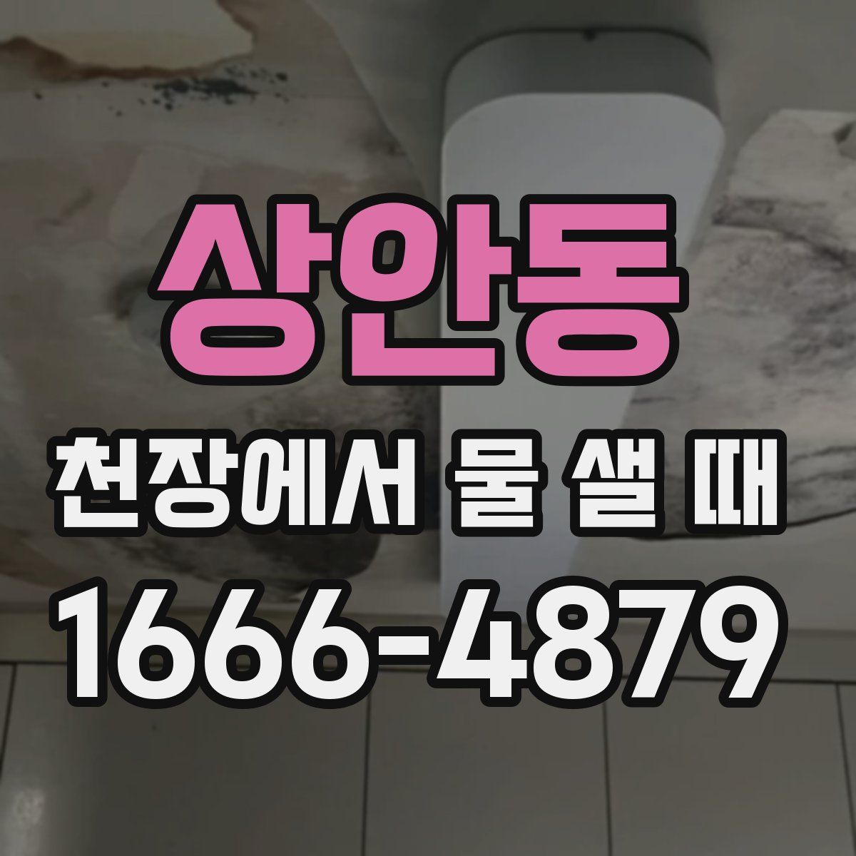 상안동 천장에서 물 샐 때