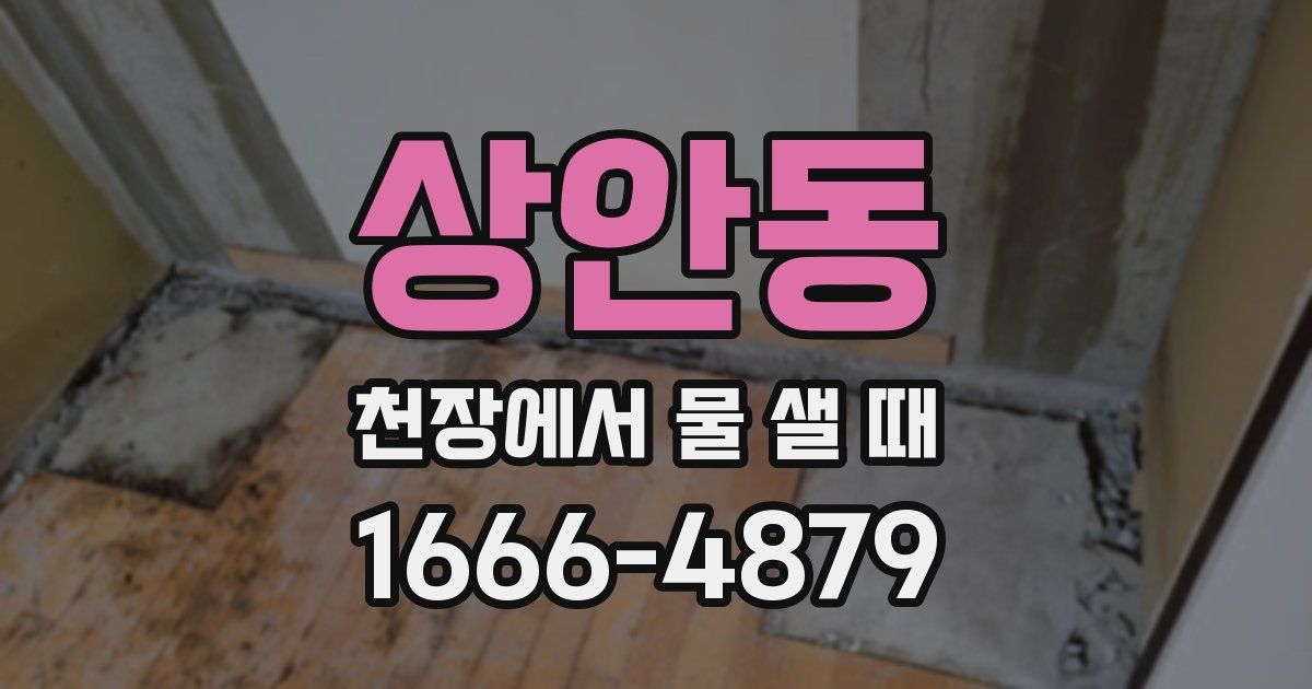 상안동 천장에서 물 샐 때