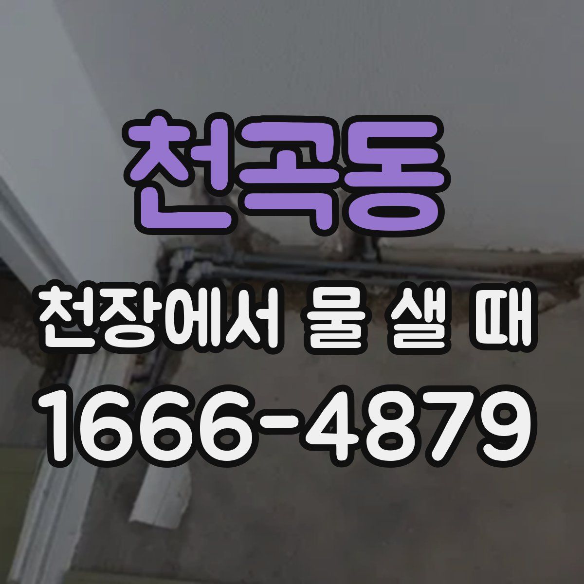 천곡동 천장에서 물 샐 때