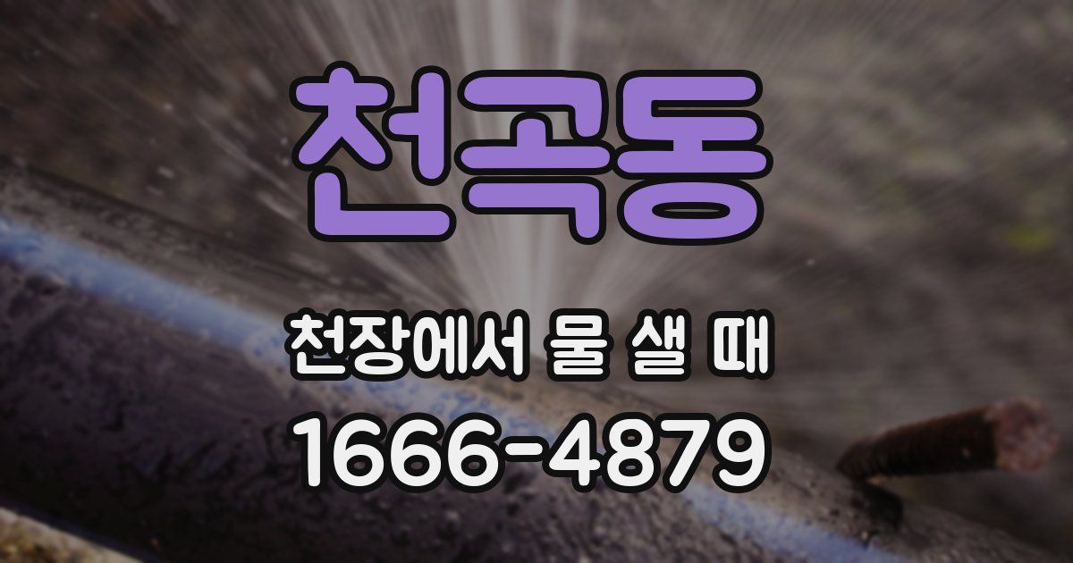 천곡동 천장에서 물 샐 때