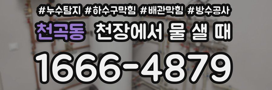 천곡동 천장에서 물 샐 때