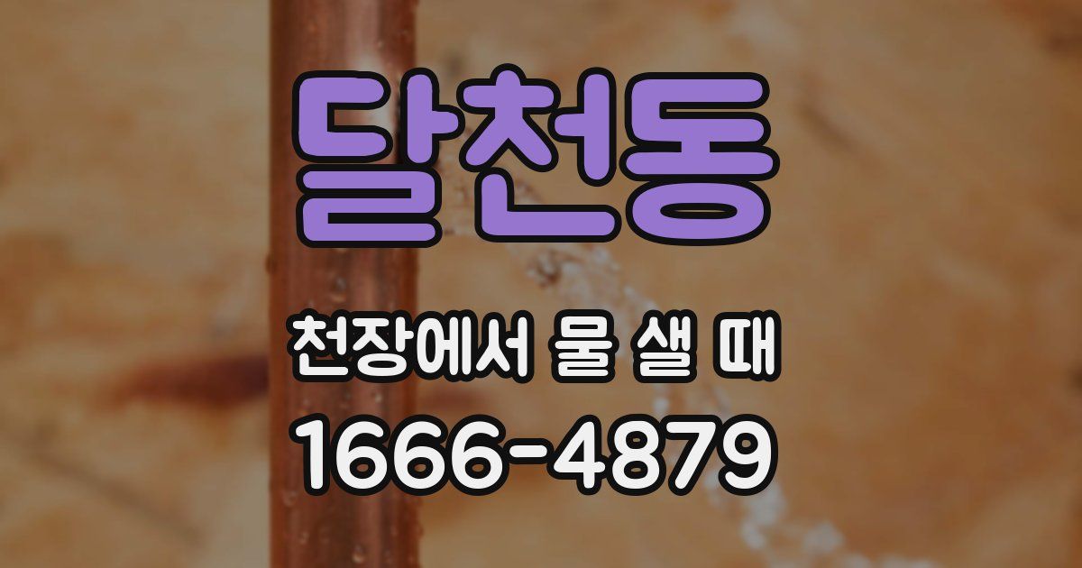 달천동 천장에서 물 샐 때