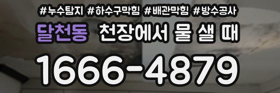 달천동 천장에서 물 샐 때
