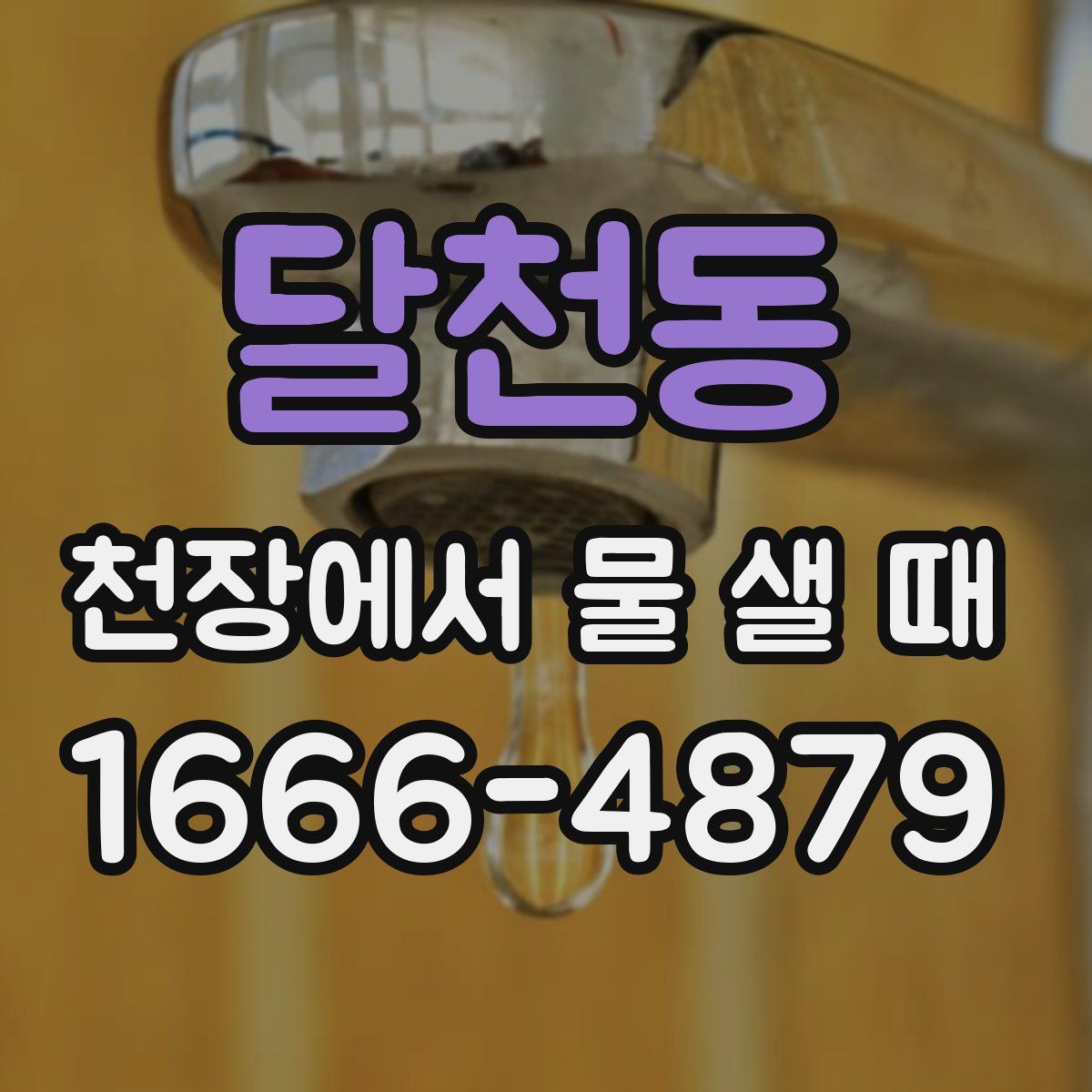 달천동 천장에서 물 샐 때