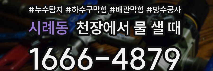 시례동 천장에서 물 샐 때