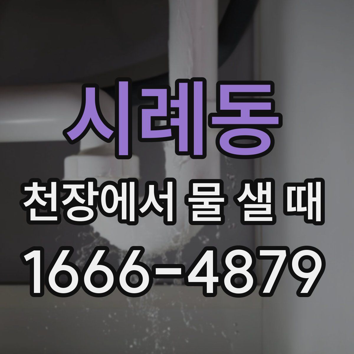 시례동 천장에서 물 샐 때