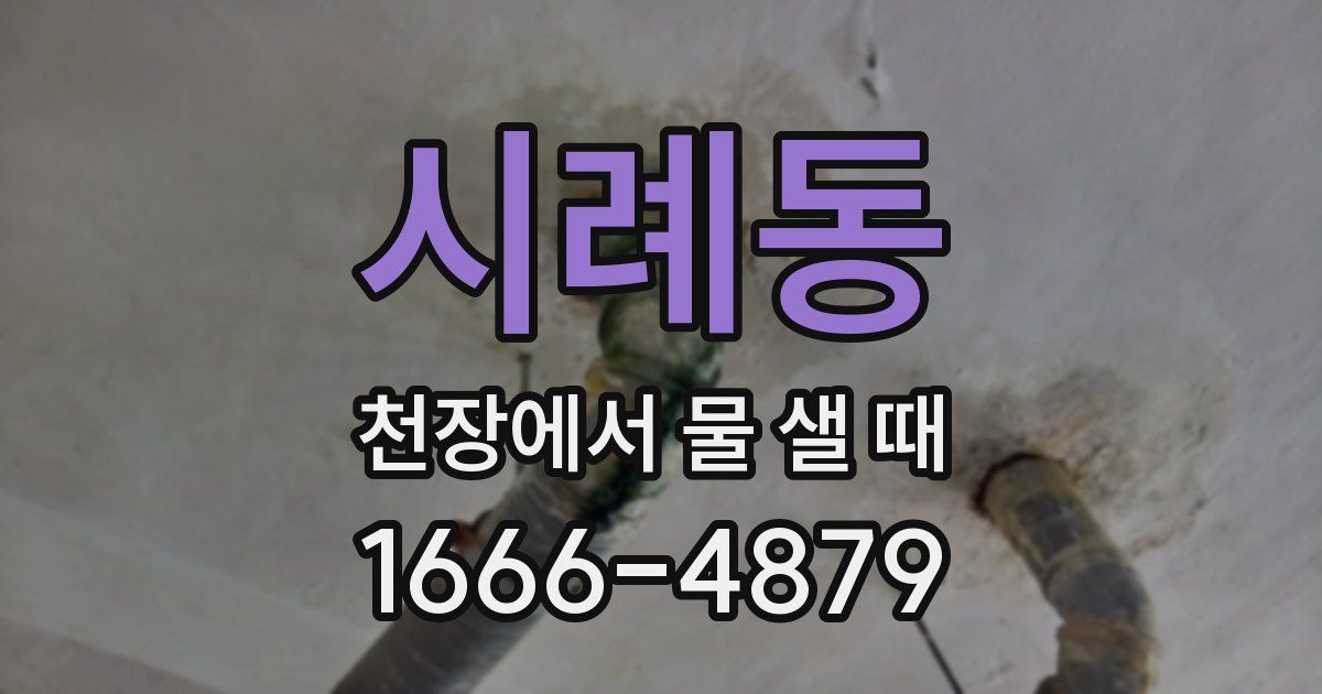 시례동 천장에서 물 샐 때