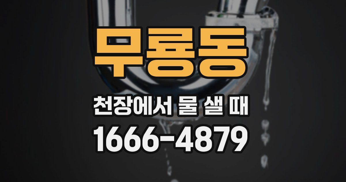 무룡동 천장에서 물 샐 때