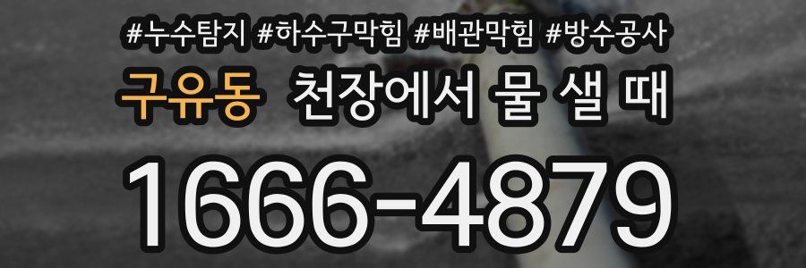 구유동 천장에서 물 샐 때