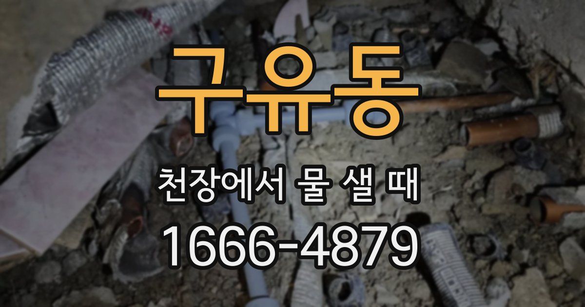 구유동 천장에서 물 샐 때