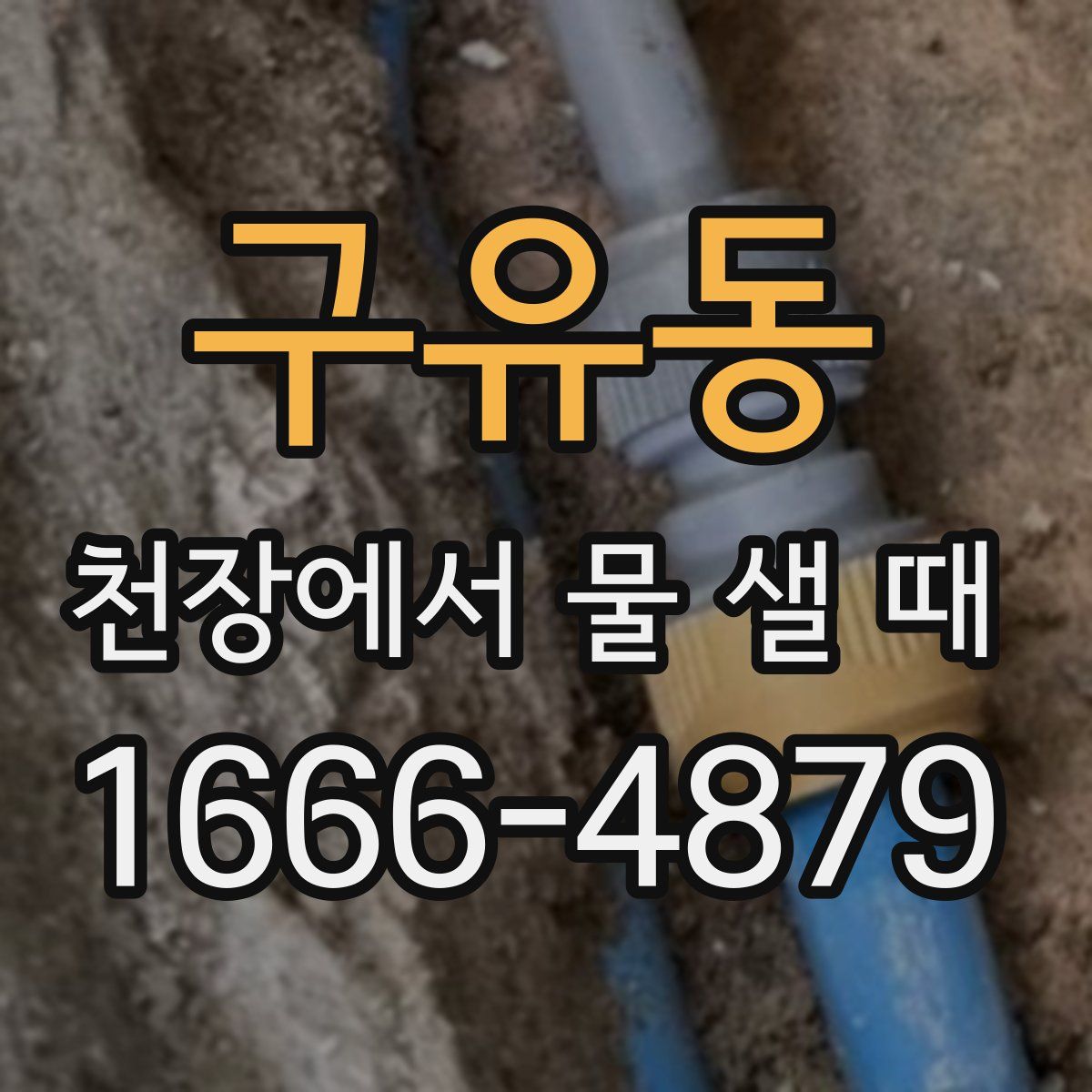 구유동 천장에서 물 샐 때
