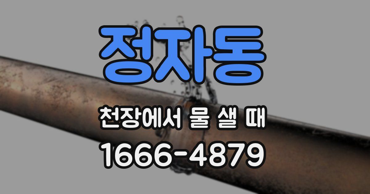 정자동 천장에서 물 샐 때