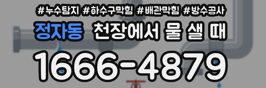 정자동 천장에서 물 샐 때