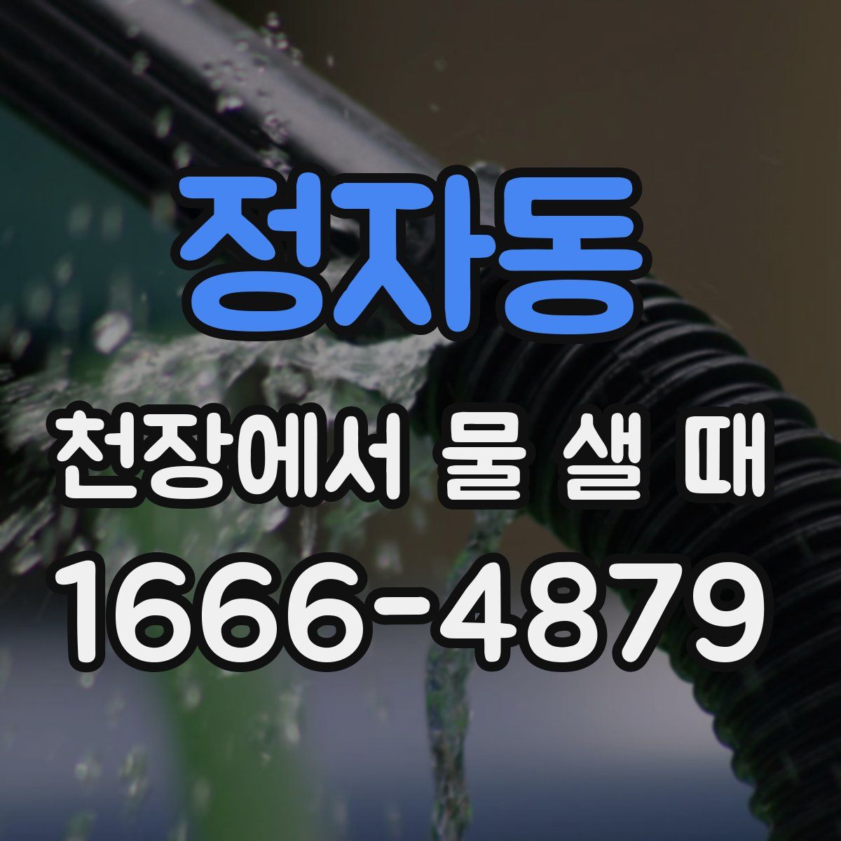 정자동 천장에서 물 샐 때