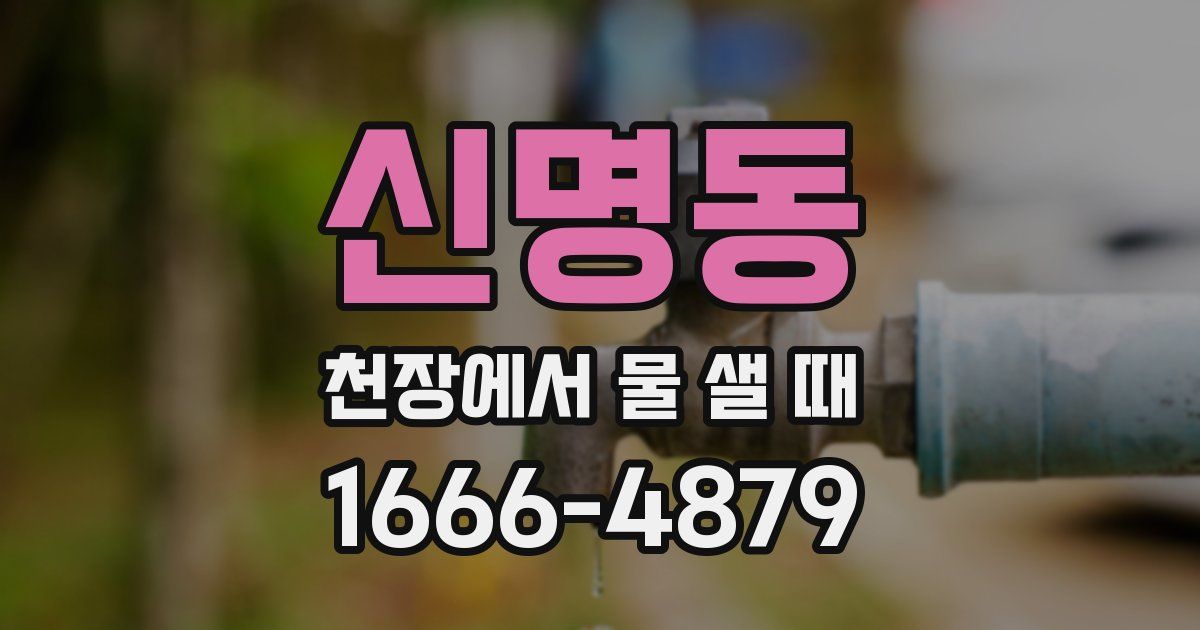 신명동 천장에서 물 샐 때