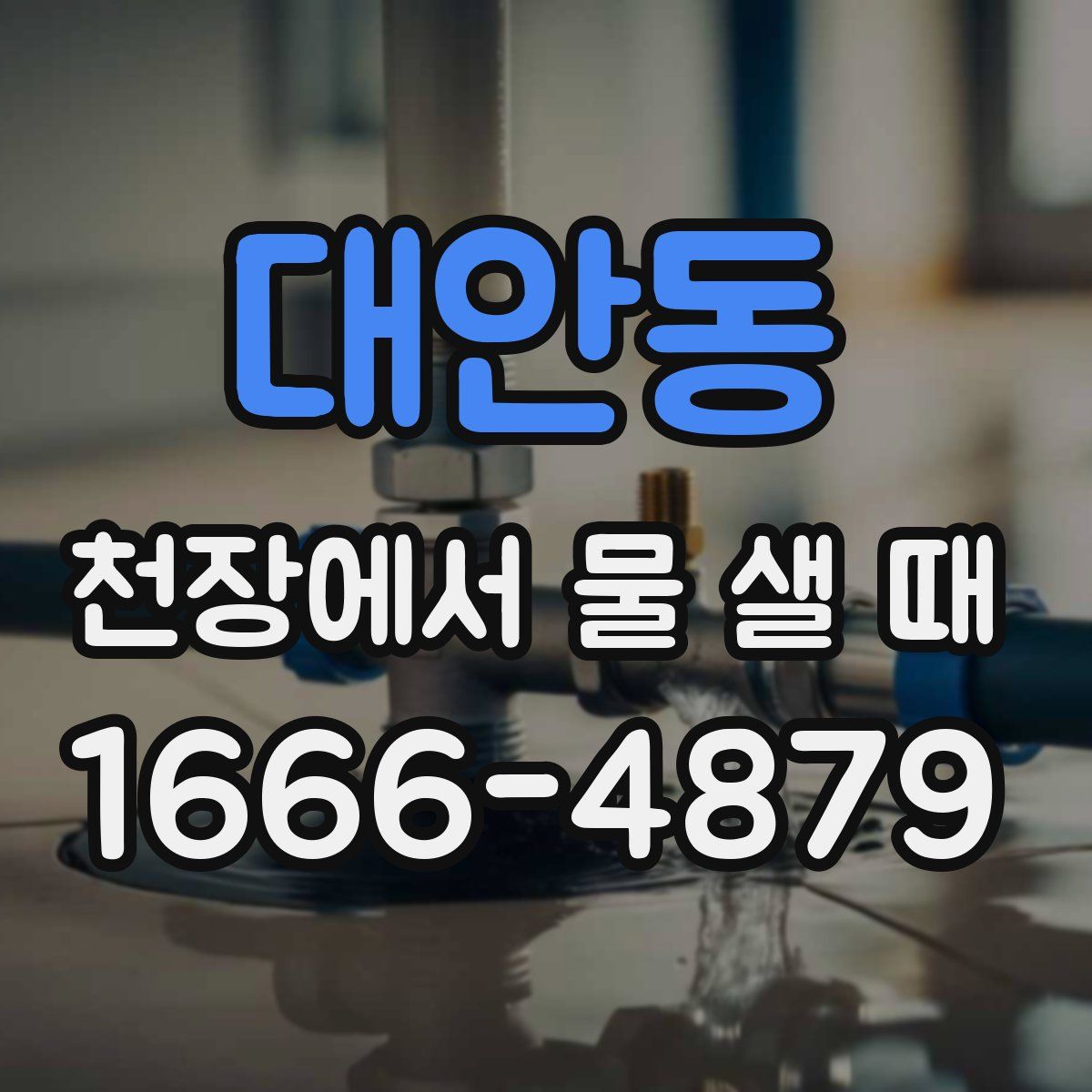 대안동 천장에서 물 샐 때