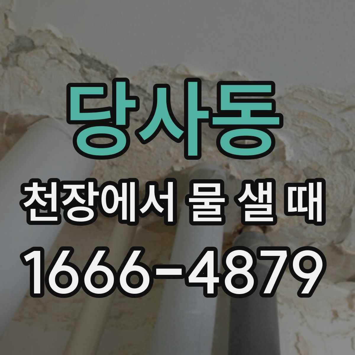 당사동 천장에서 물 샐 때