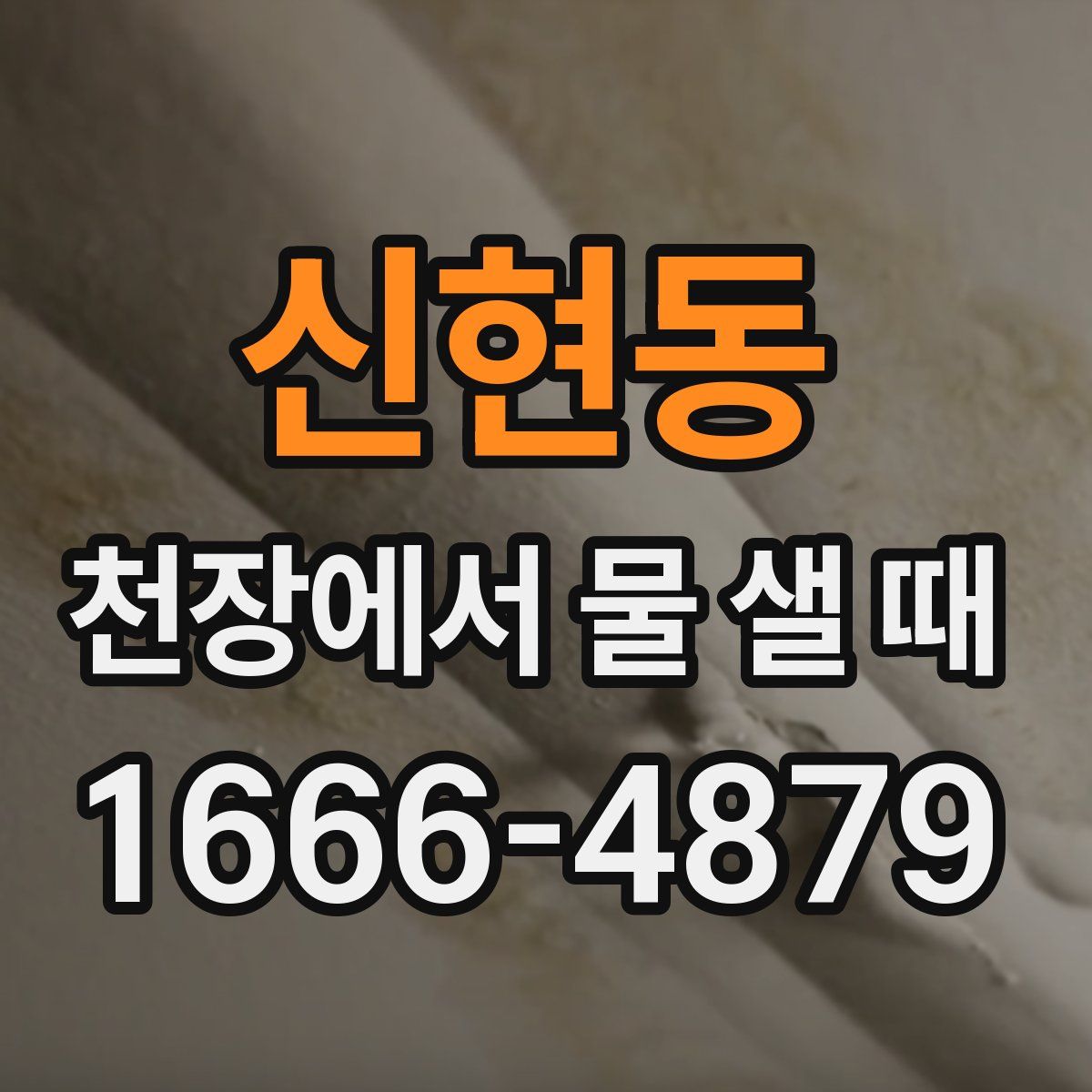 신현동 천장에서 물 샐 때