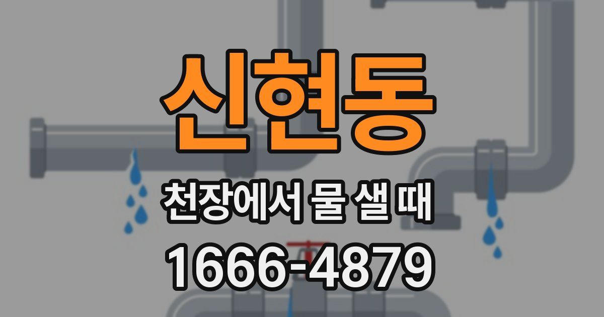 신현동 천장에서 물 샐 때