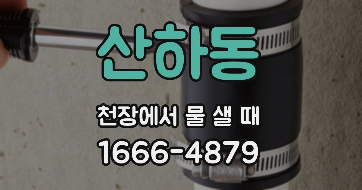 산하동 천장에서 물 샐 때