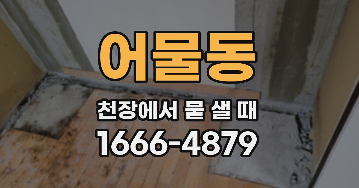 어물동 천장에서 물 샐 때
