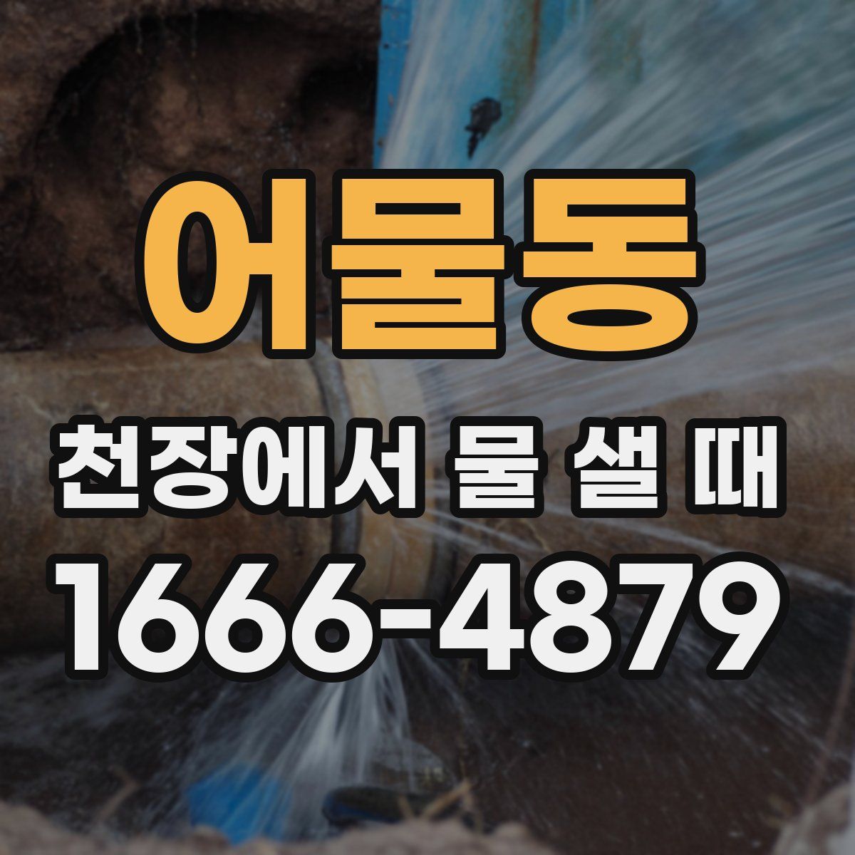 어물동 천장에서 물 샐 때