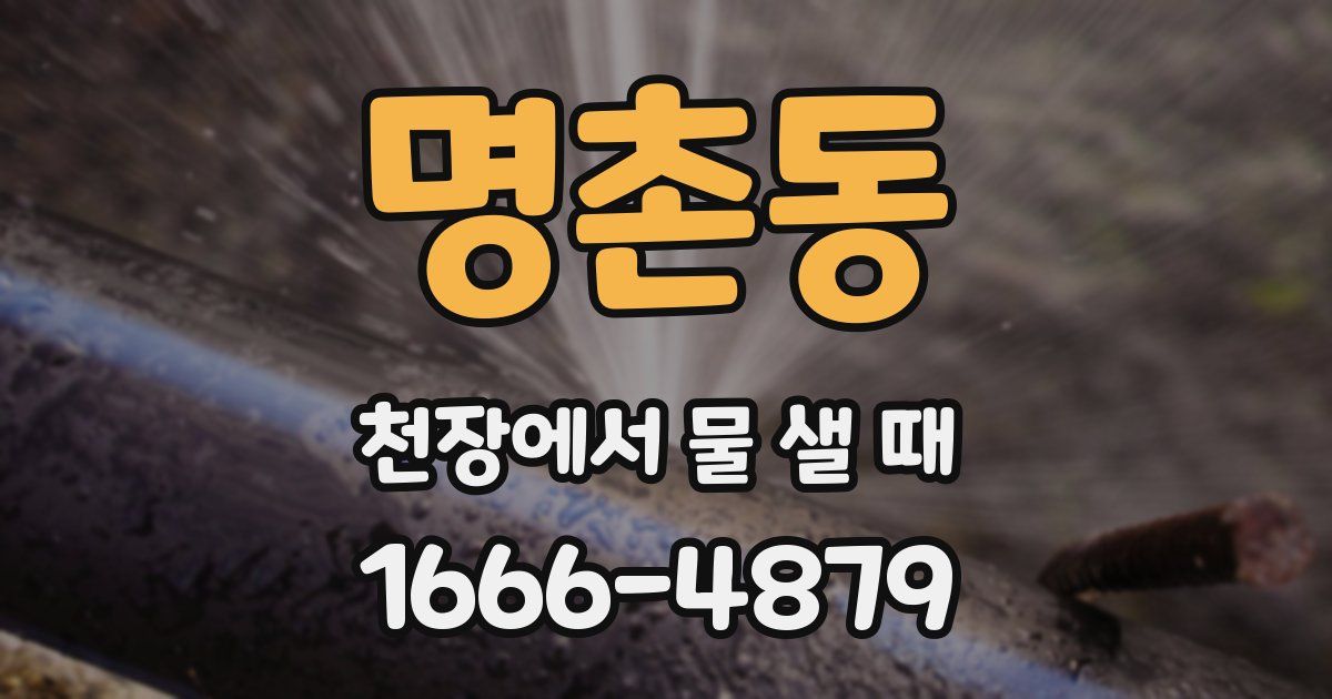 명촌동 천장에서 물 샐 때