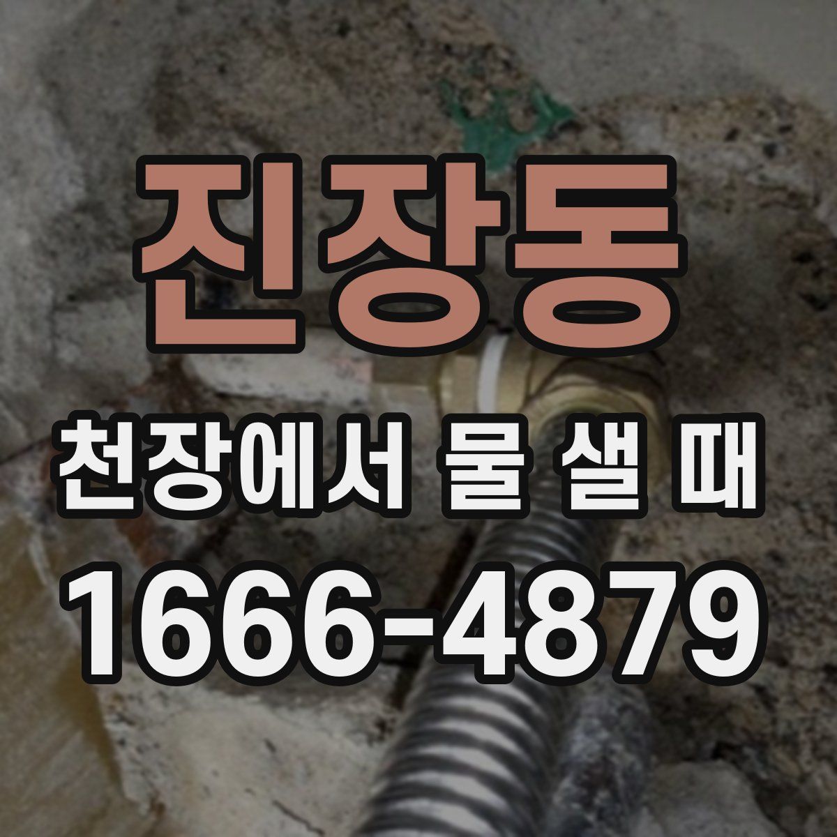 진장동 천장에서 물 샐 때
