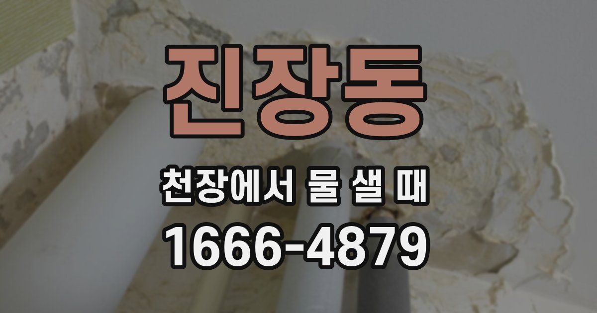 진장동 천장에서 물 샐 때
