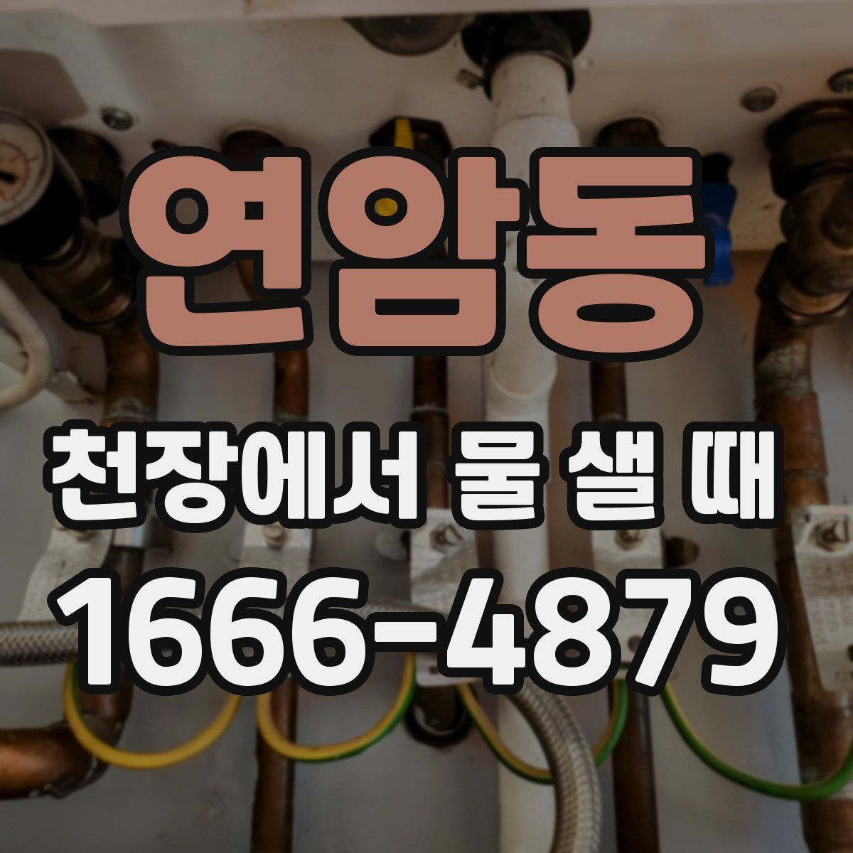 연암동 천장에서 물 샐 때