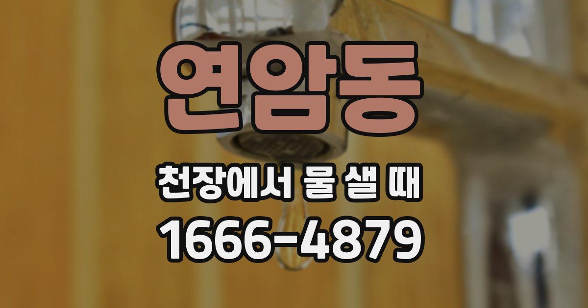연암동 천장에서 물 샐 때