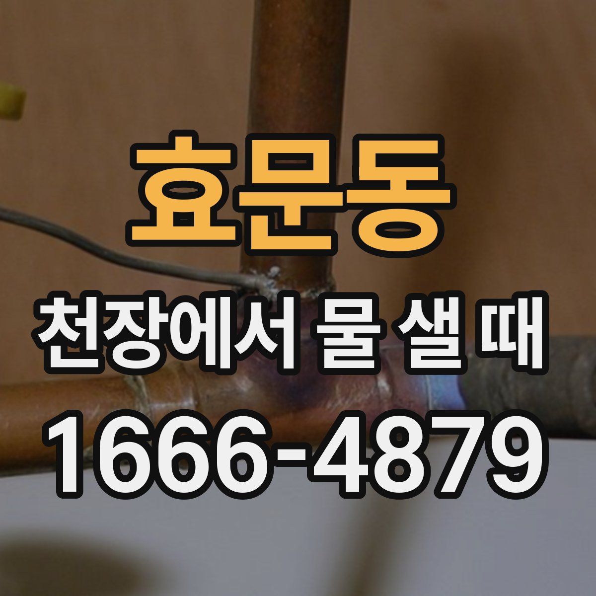 효문동 천장에서 물 샐 때