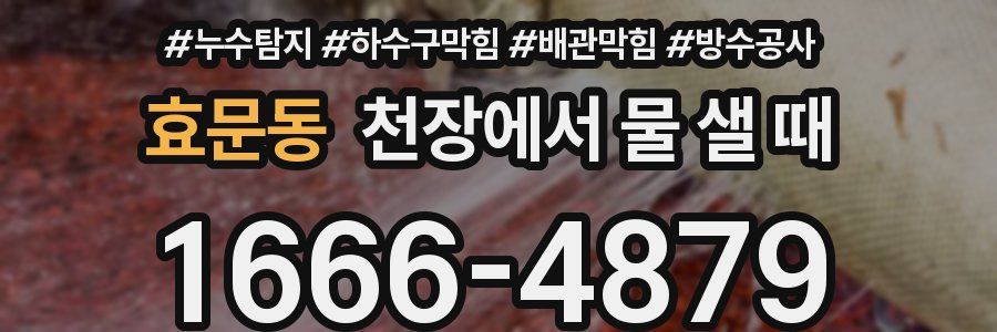 효문동 천장에서 물 샐 때