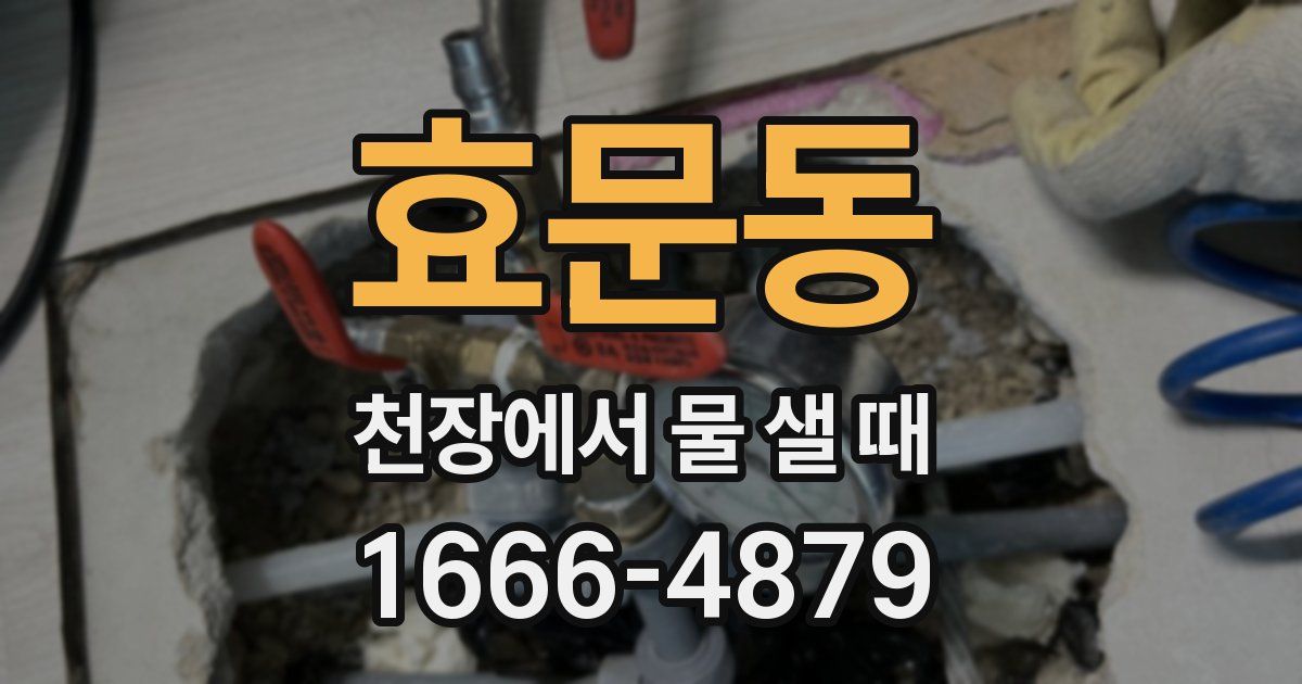 효문동 천장에서 물 샐 때