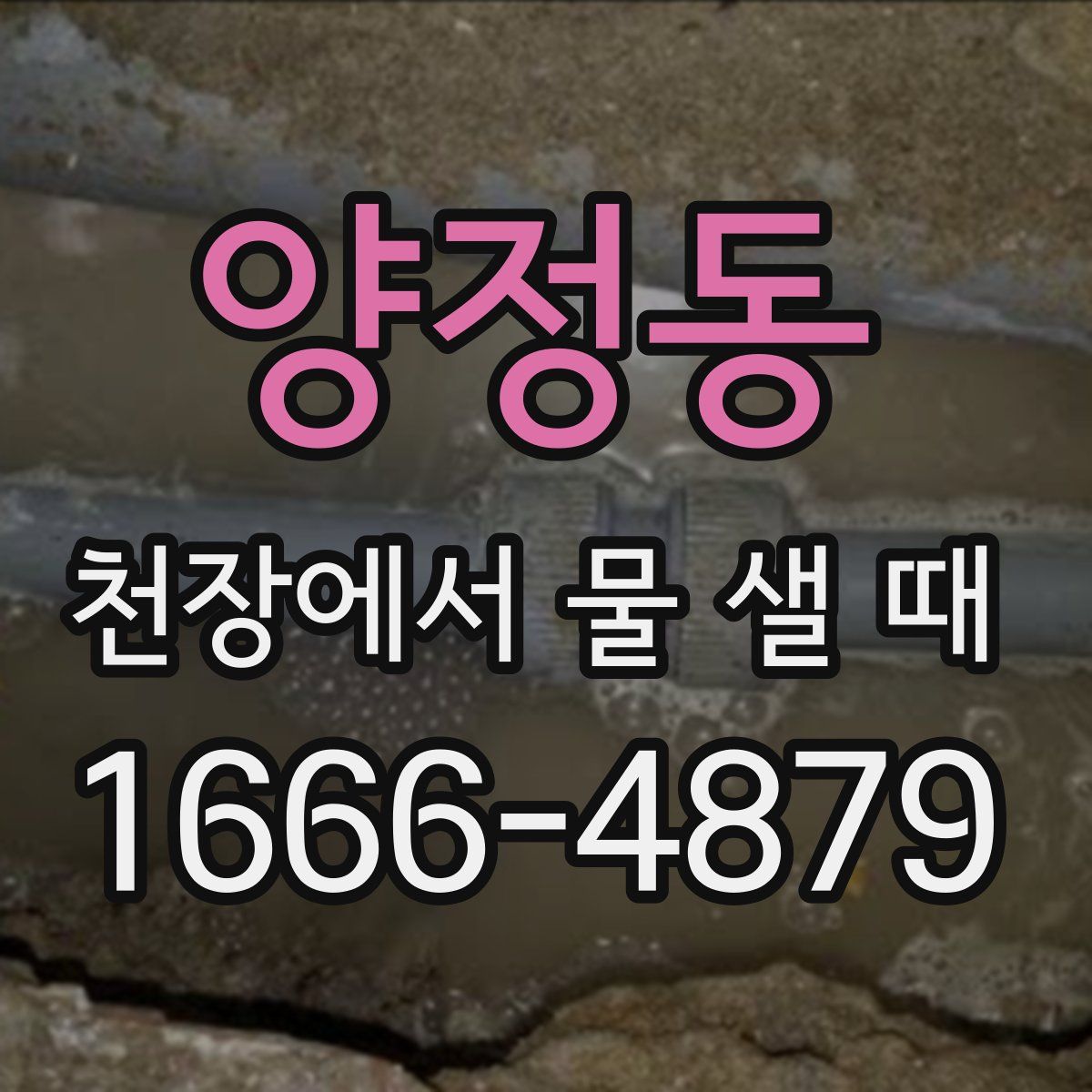 양정동 천장에서 물 샐 때