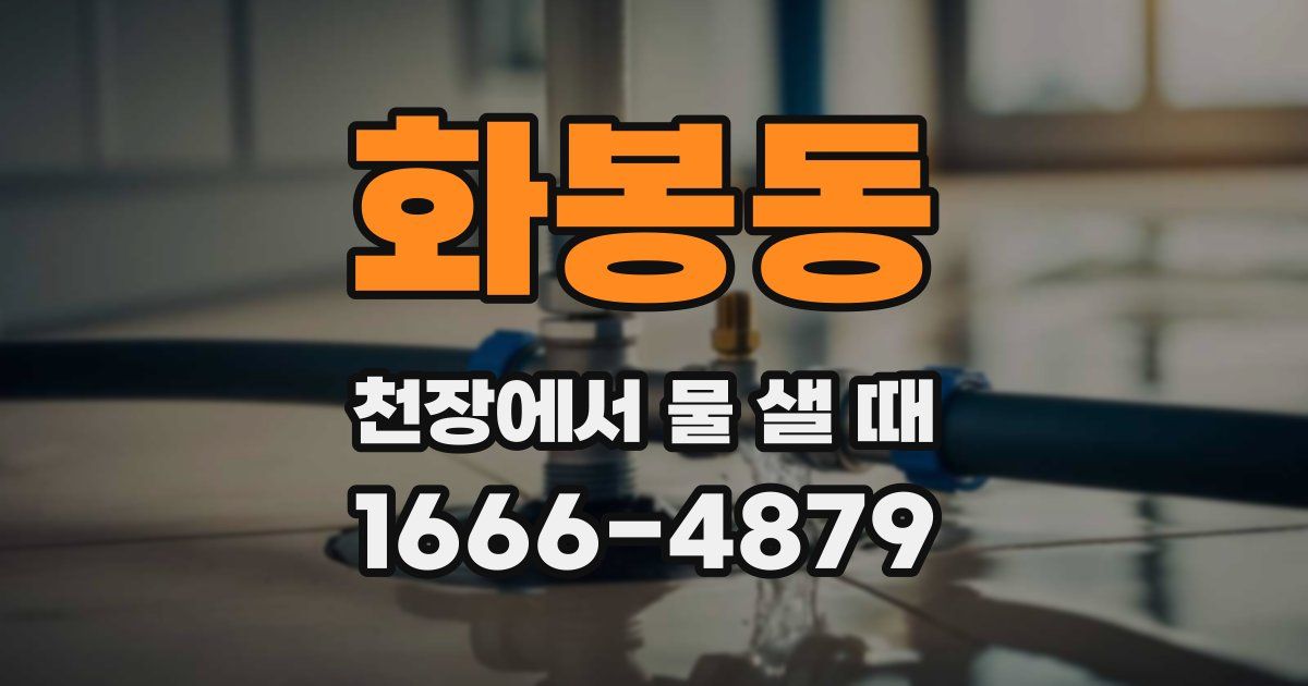 화봉동 천장에서 물 샐 때