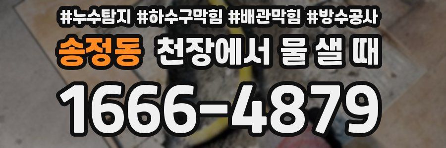 송정동 천장에서 물 샐 때