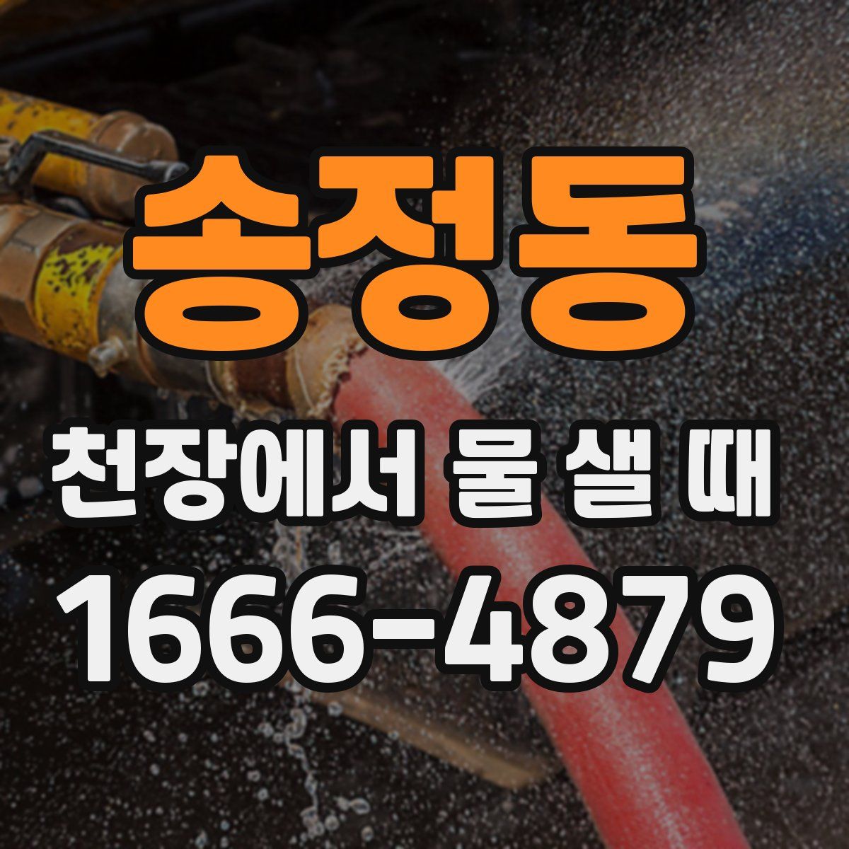 송정동 천장에서 물 샐 때