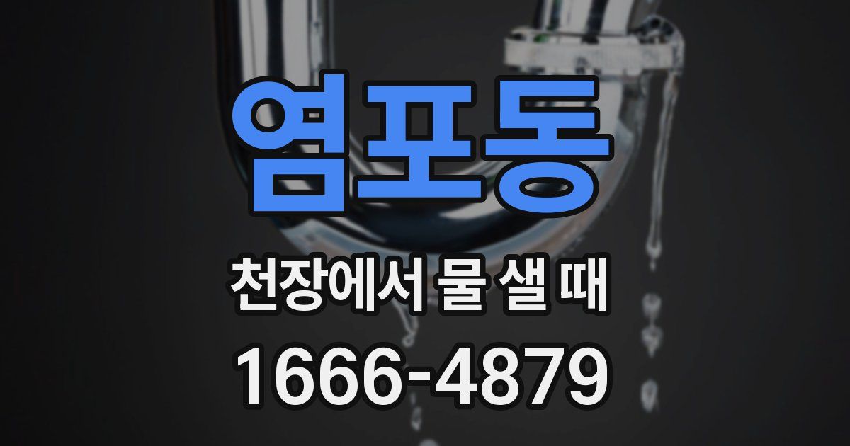 염포동 천장에서 물 샐 때