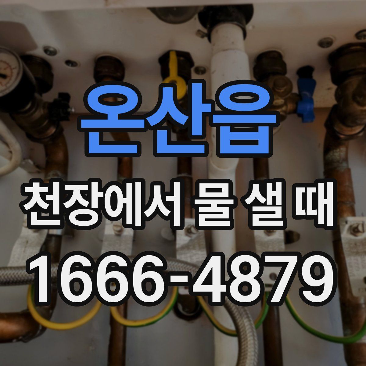 온산읍 천장에서 물 샐 때
