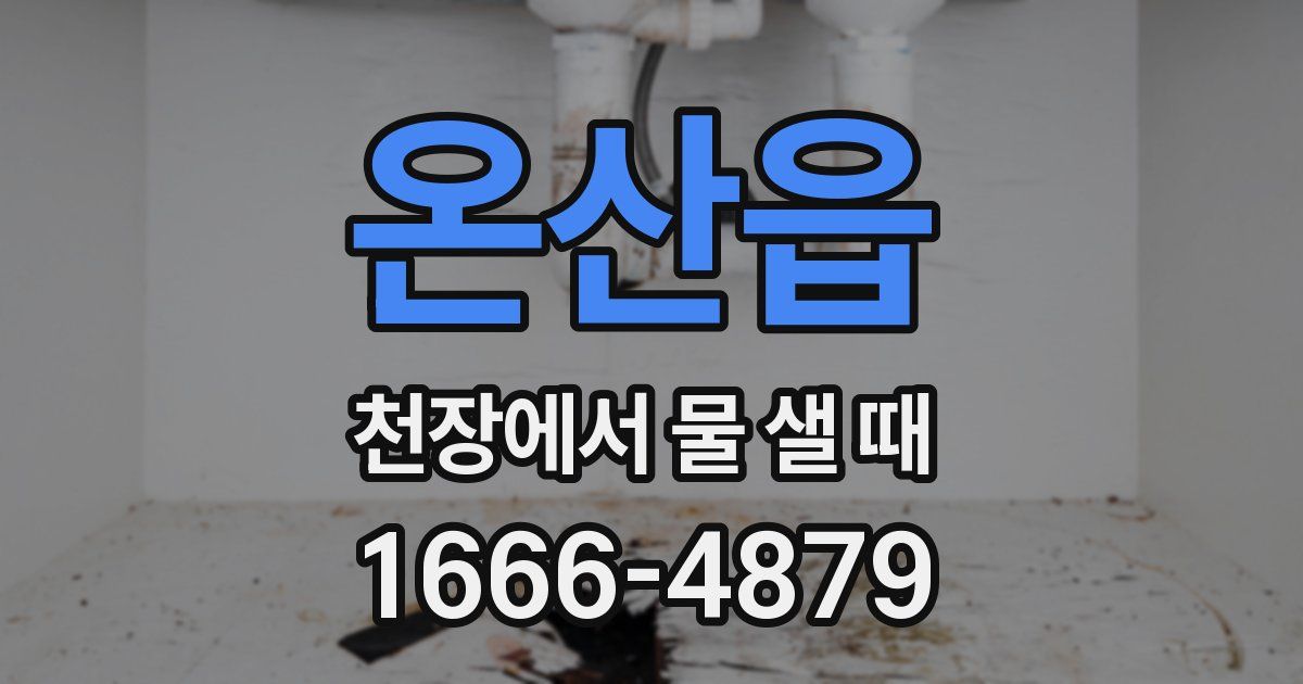 온산읍 천장에서 물 샐 때