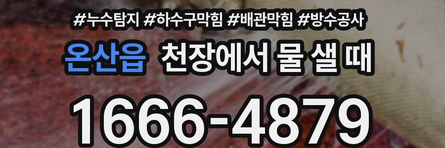 온산읍 천장에서 물 샐 때