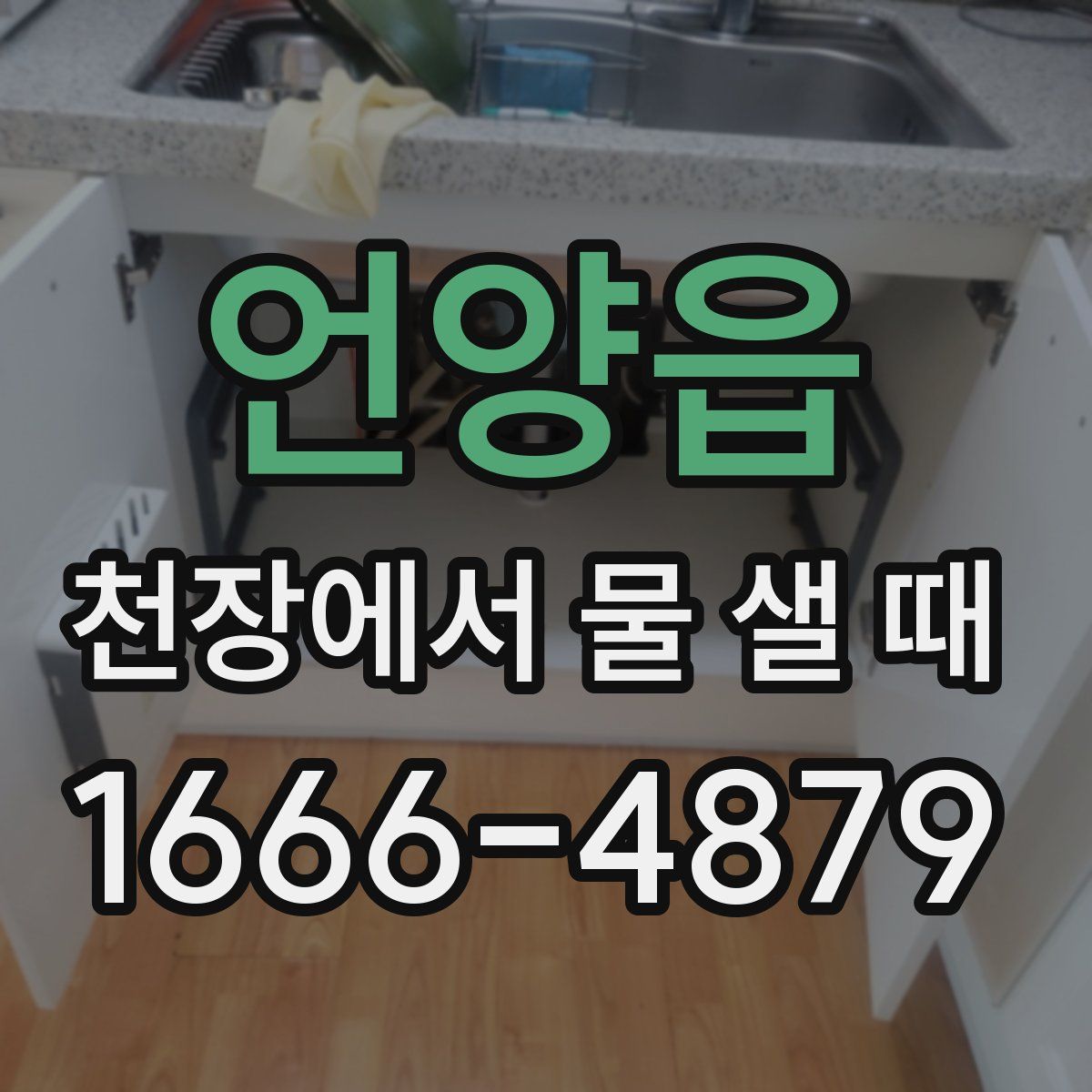 언양읍 천장에서 물 샐 때