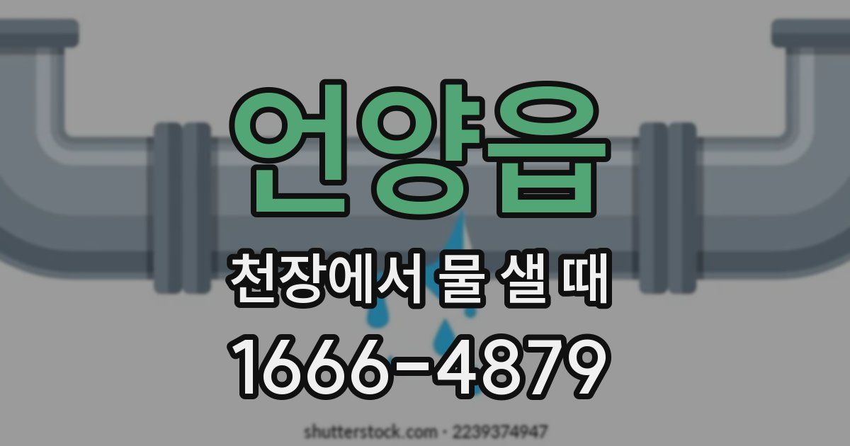 언양읍 천장에서 물 샐 때