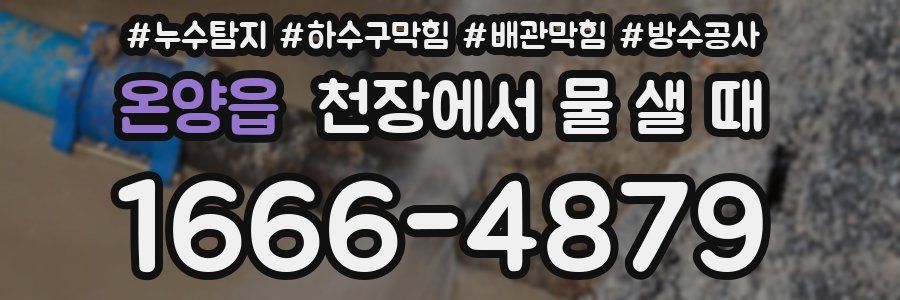 온양읍 천장에서 물 샐 때