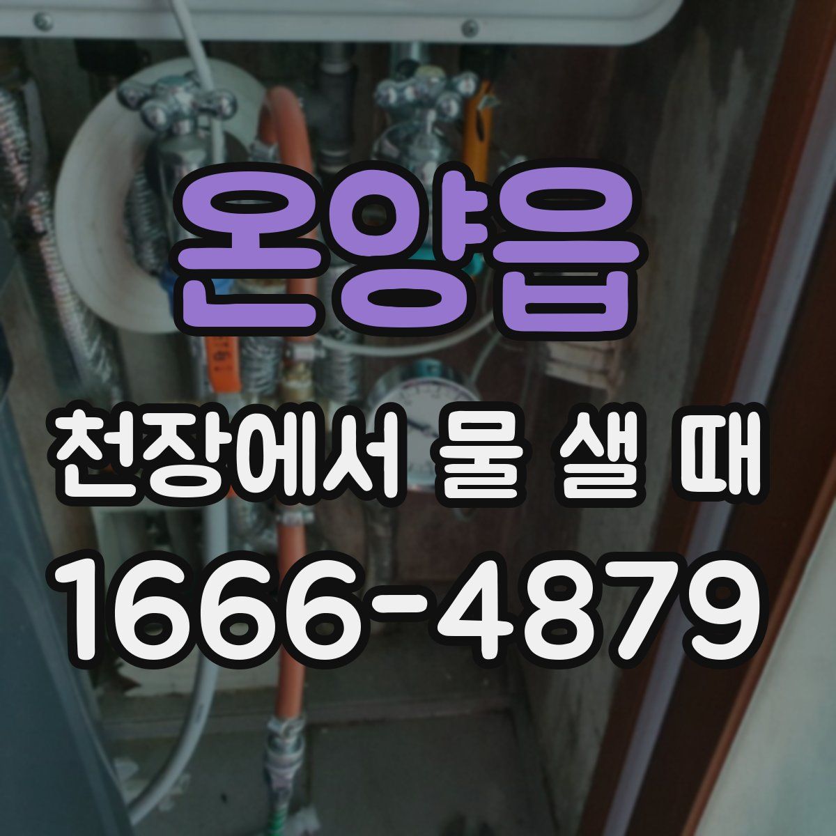 온양읍 천장에서 물 샐 때