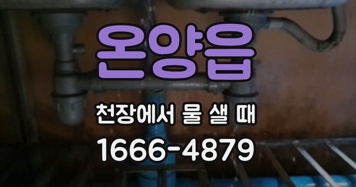 온양읍 천장에서 물 샐 때