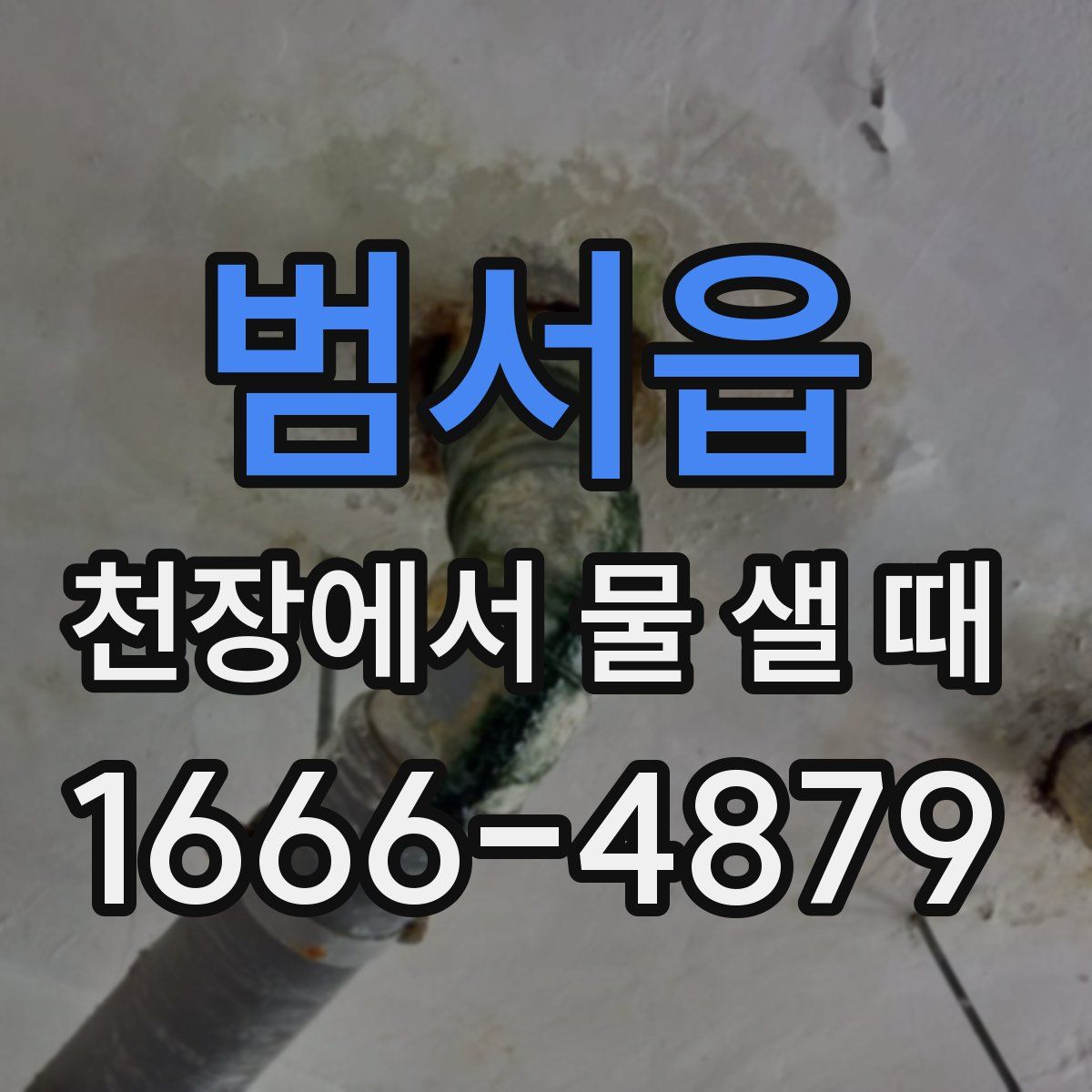 범서읍 천장에서 물 샐 때