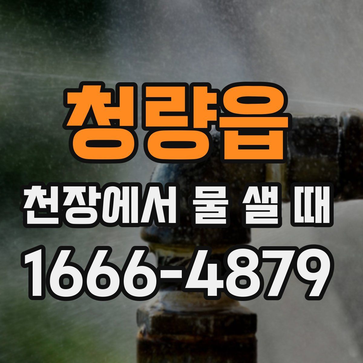 청량읍 천장에서 물 샐 때
